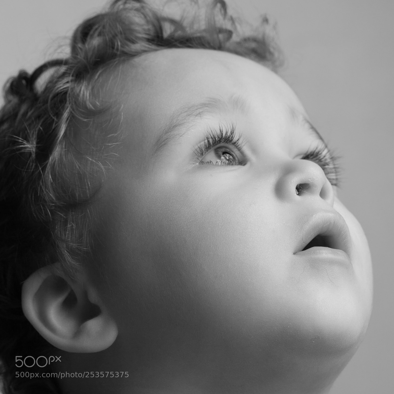 Canon EOS 5D Mark II sample photo. What's up there? photography