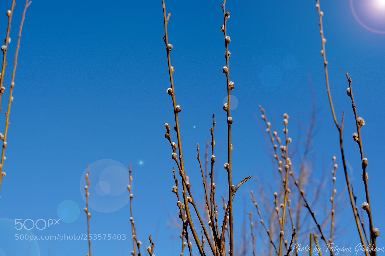 Nikon D5200 sample photo. Untitled photography