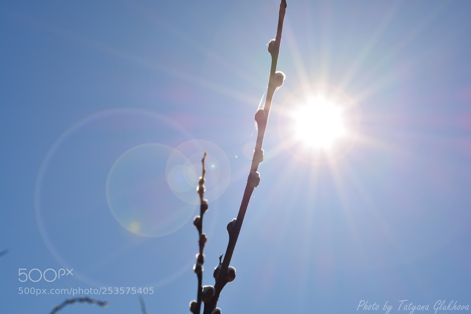 Nikon D5200 sample photo. Untitled photography