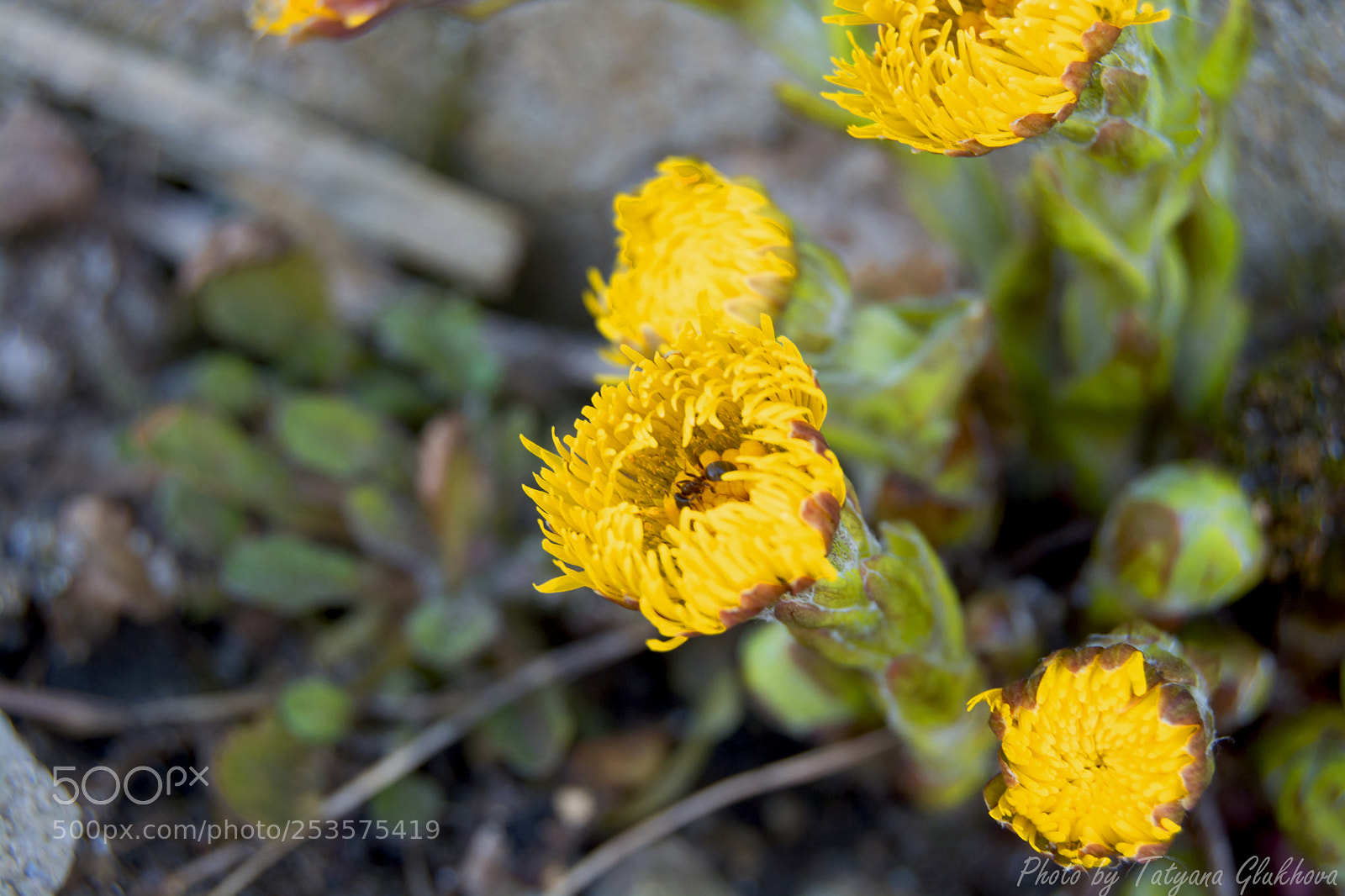 Nikon D5200 sample photo. Untitled photography