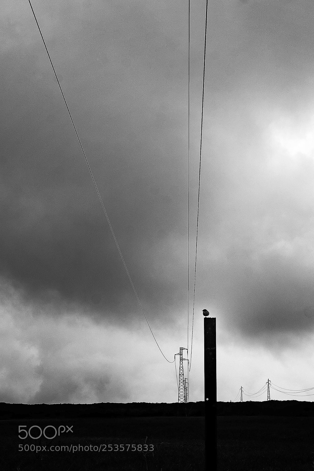 Sony a7 sample photo. Electric way photography