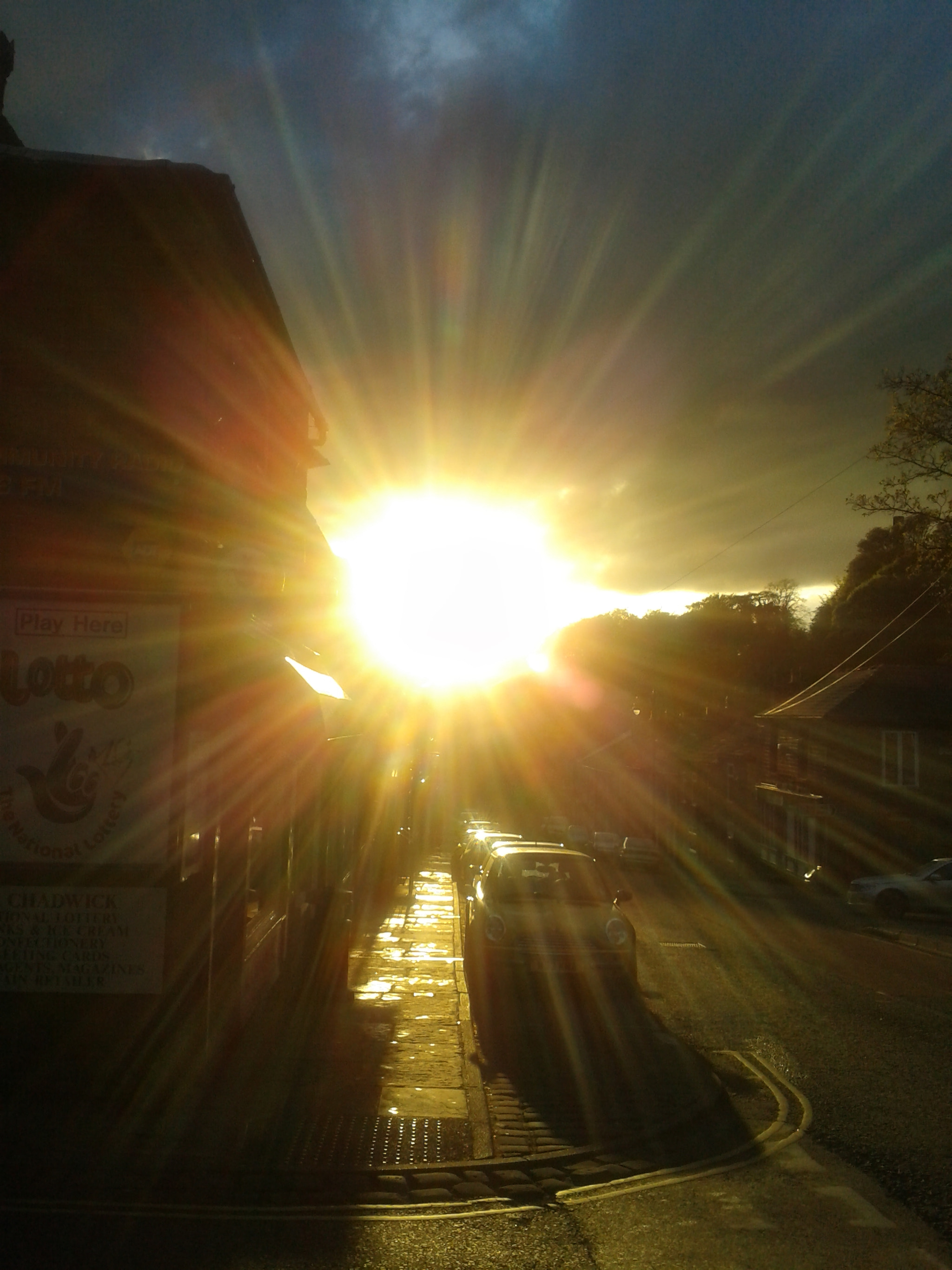 Samsung Galaxy S3 Mini sample photo. Cotton tree sun photography