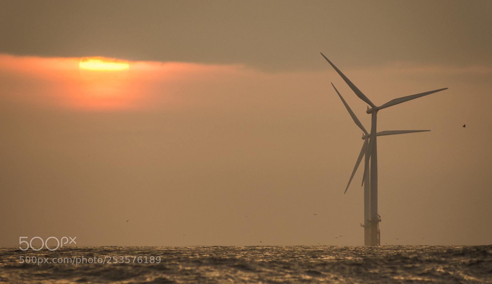 Nikon D5200 sample photo. Sunrise at sea photography