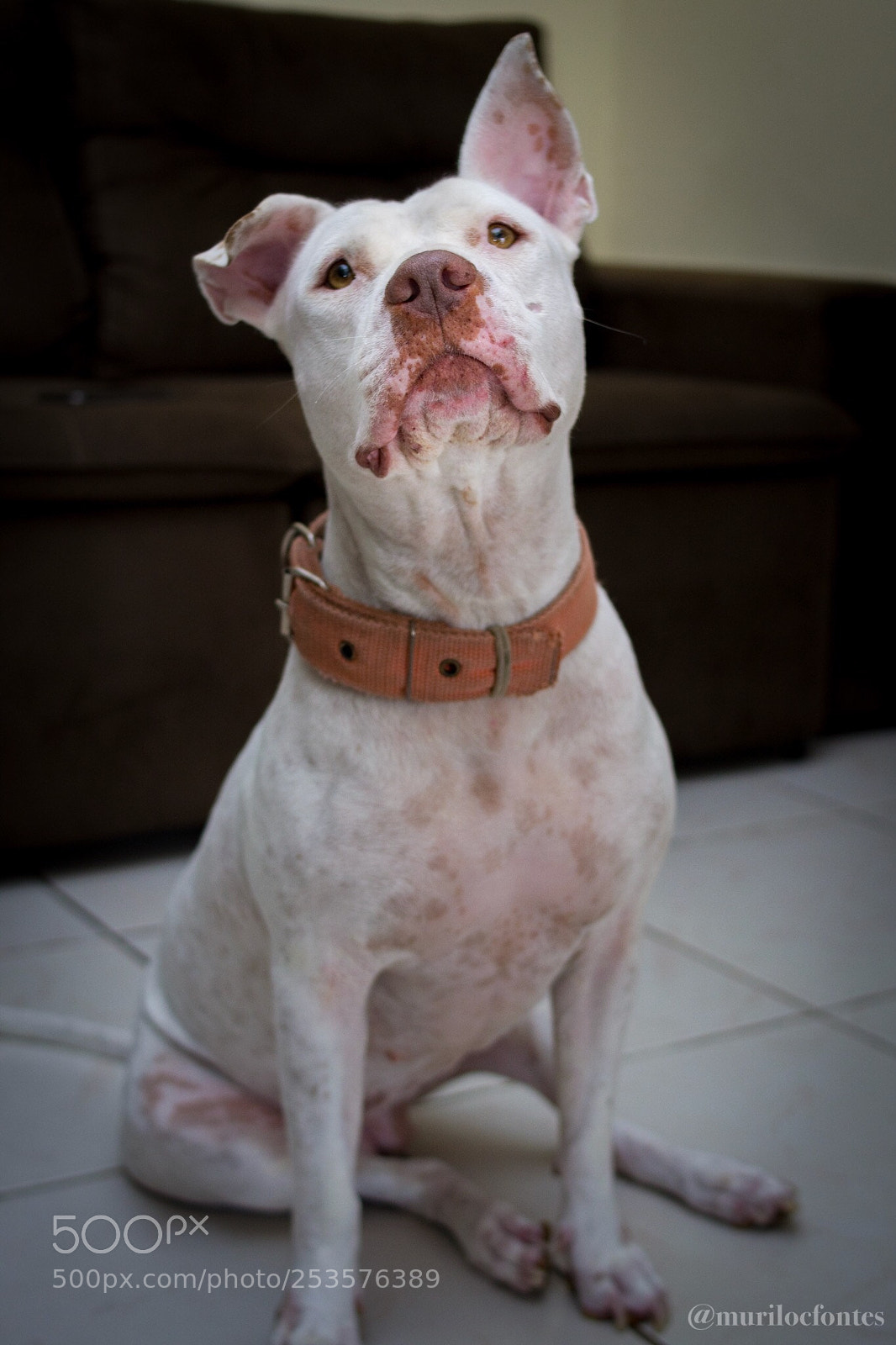 Nikon D3100 sample photo. Untitled photography