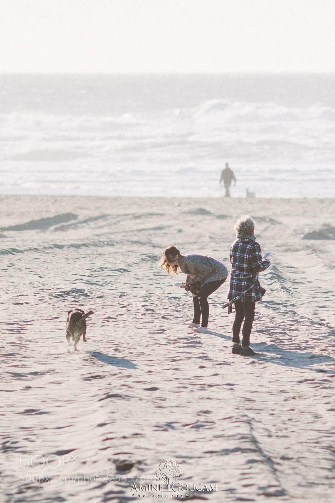 Canon EOS 50D sample photo. Ocean beach san francisco photography