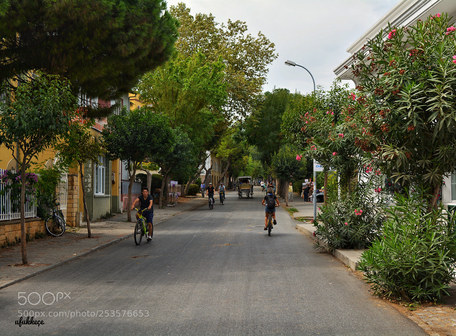 Nikon D5200 sample photo. Untitled photography