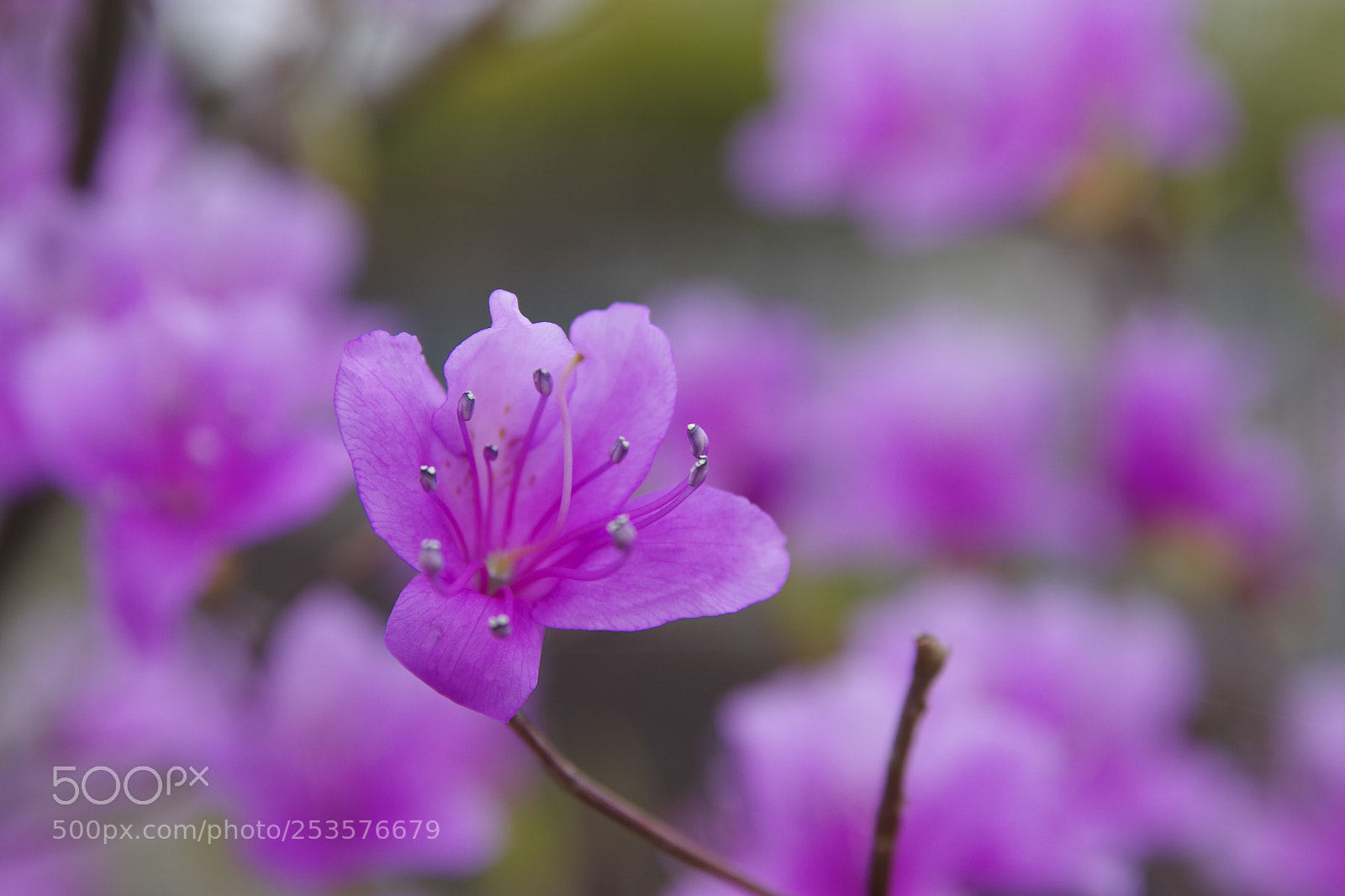 Pentax K-70 sample photo. Untitled photography