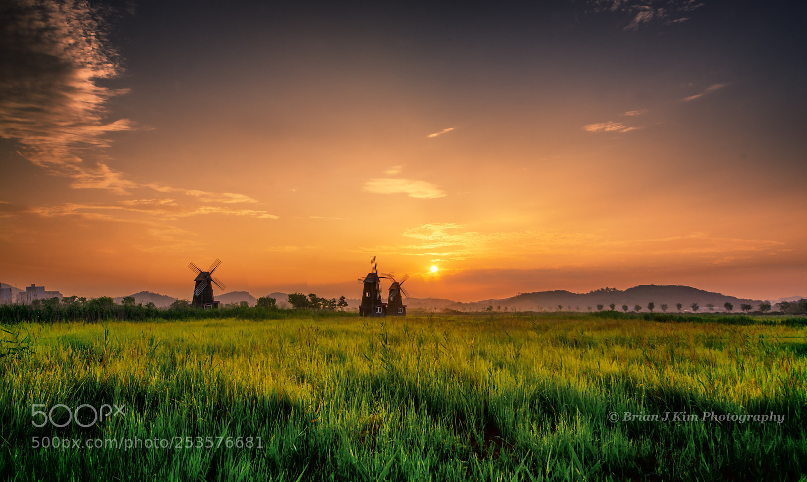 Nikon D610 sample photo. The daybreak over the photography
