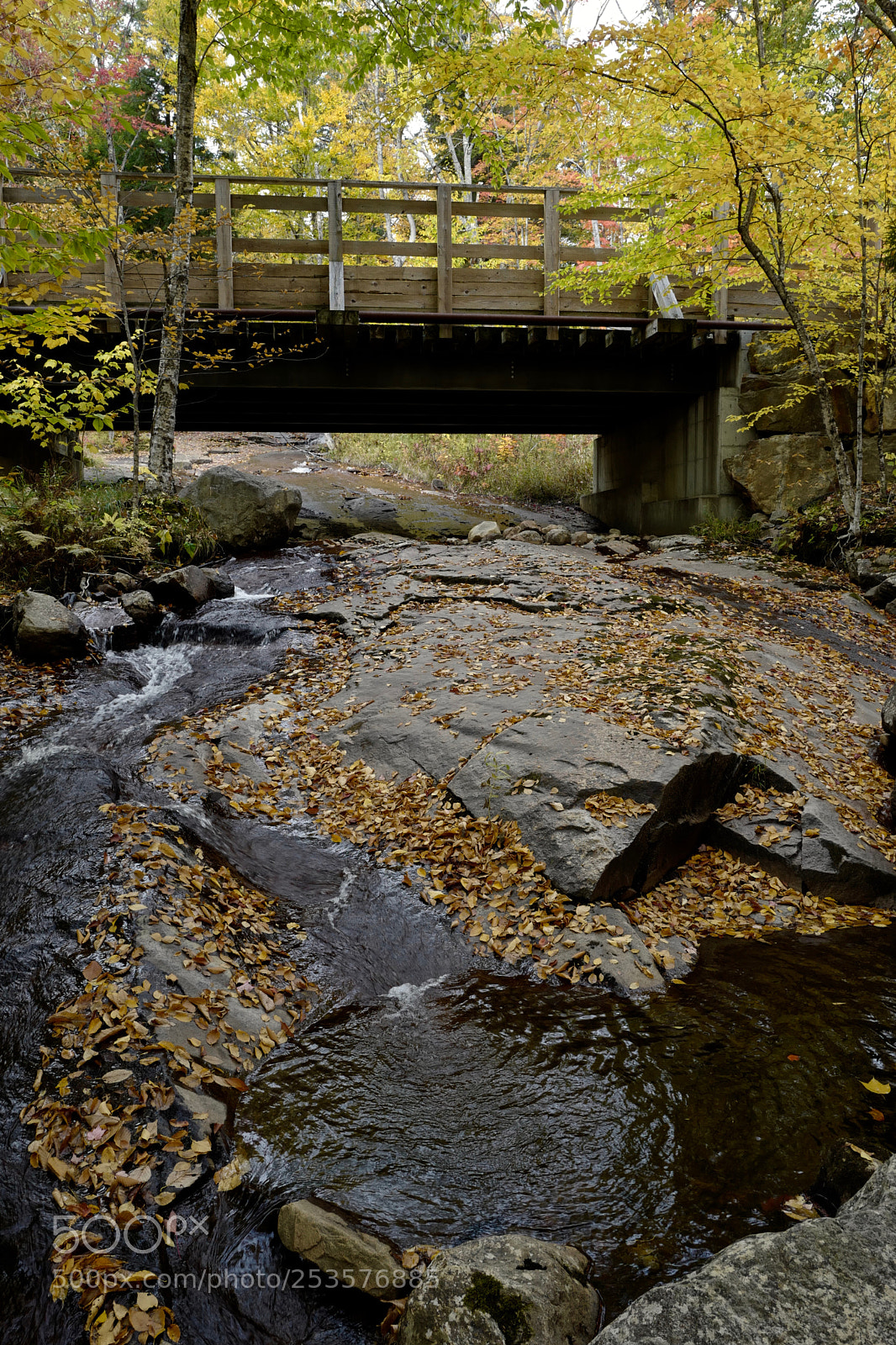Leica Q (Typ 116) sample photo. Nansen creek photography