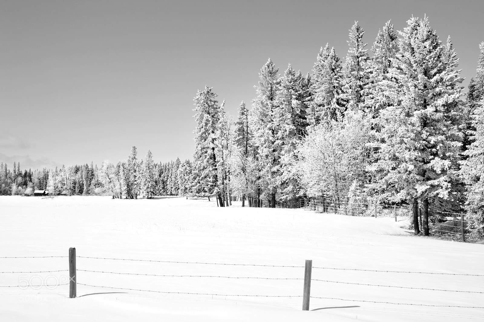 Nikon D7100 sample photo. Winter's long goodbye photography