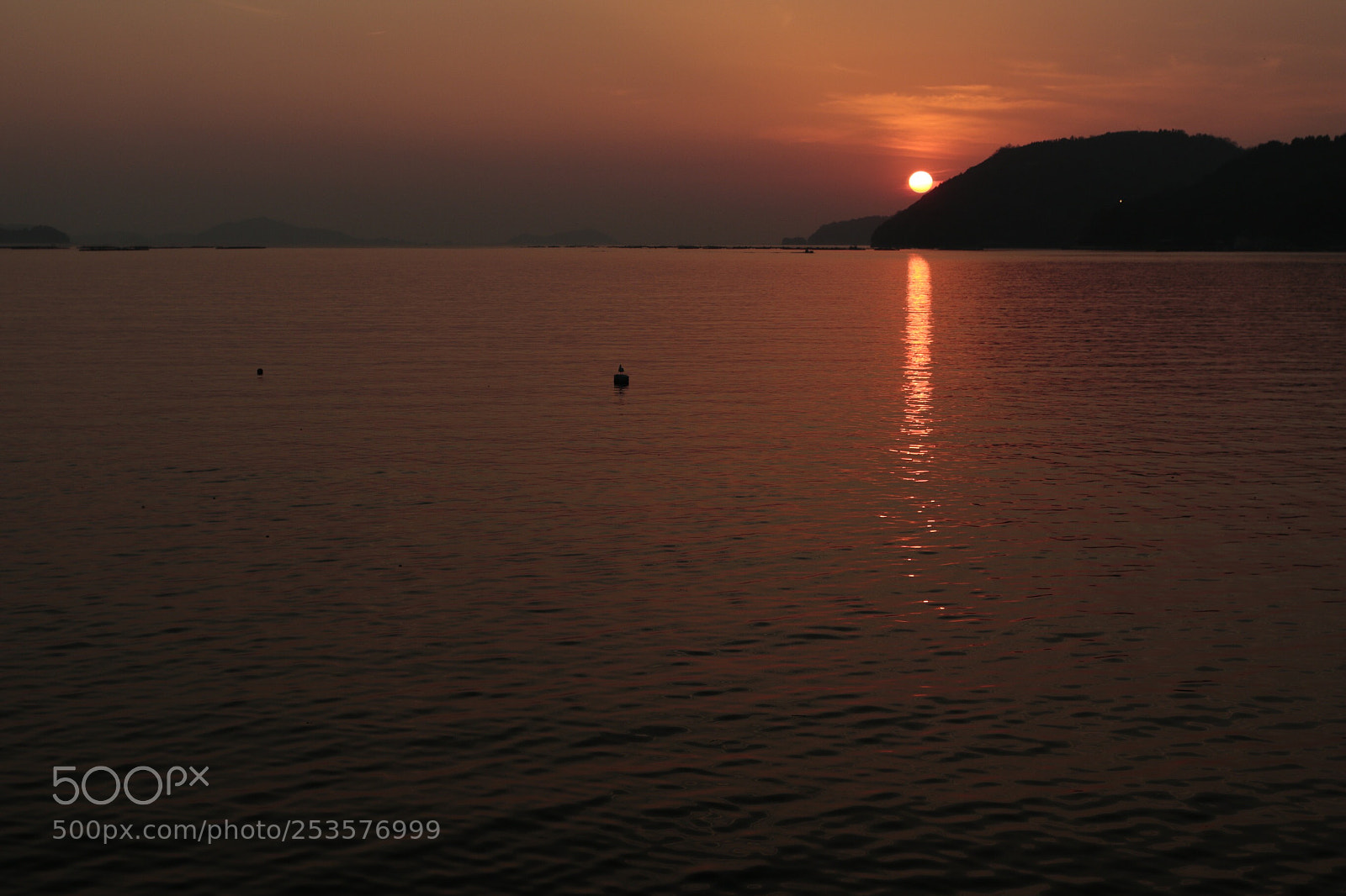 Canon EOS 70D sample photo. Untitled photography
