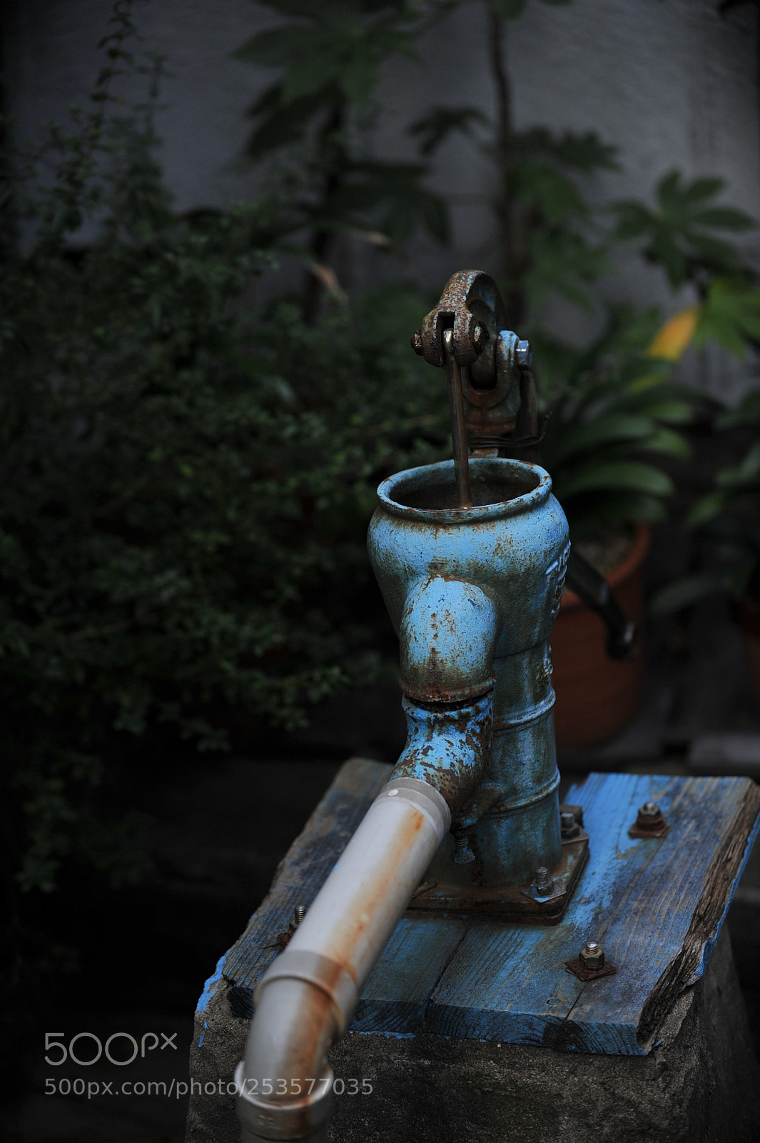 Nikon D700 sample photo. Untitled photography