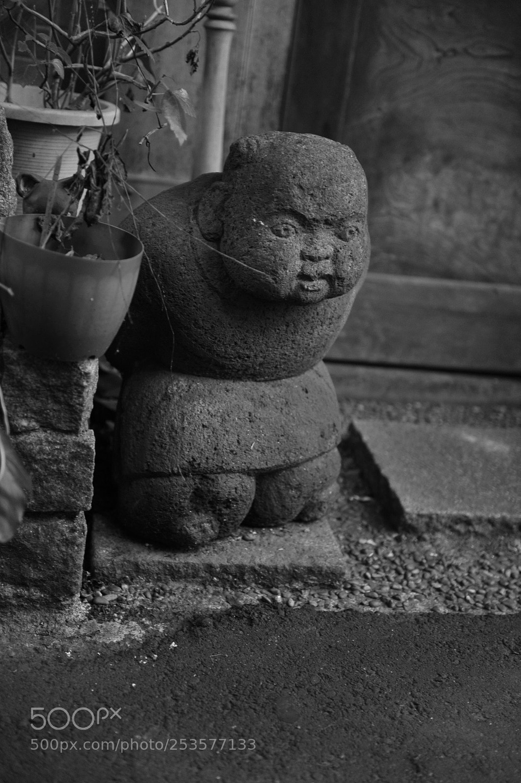 Nikon D700 sample photo. Untitled photography