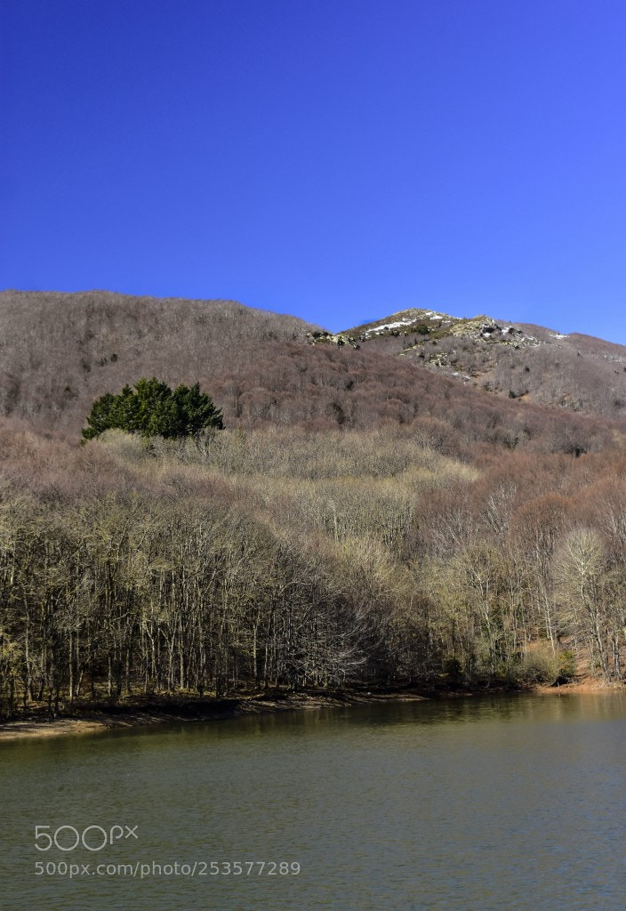 Nikon D7200 sample photo. Punto photography