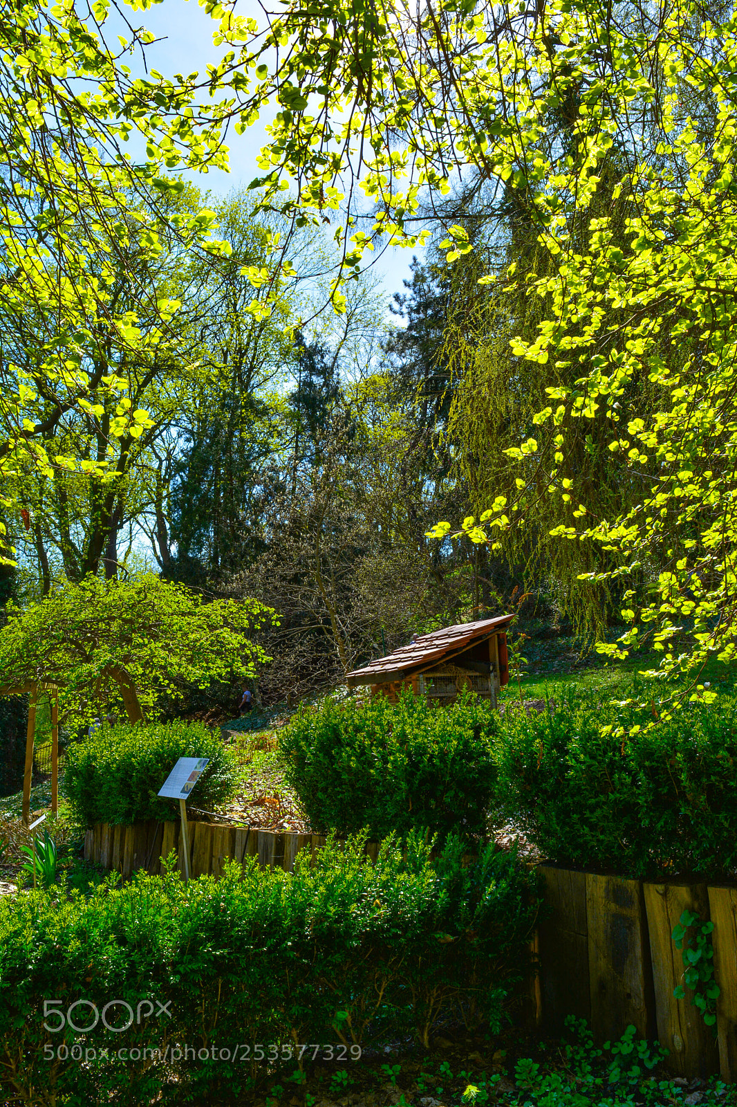 Nikon D5200 sample photo. Sunny day photography
