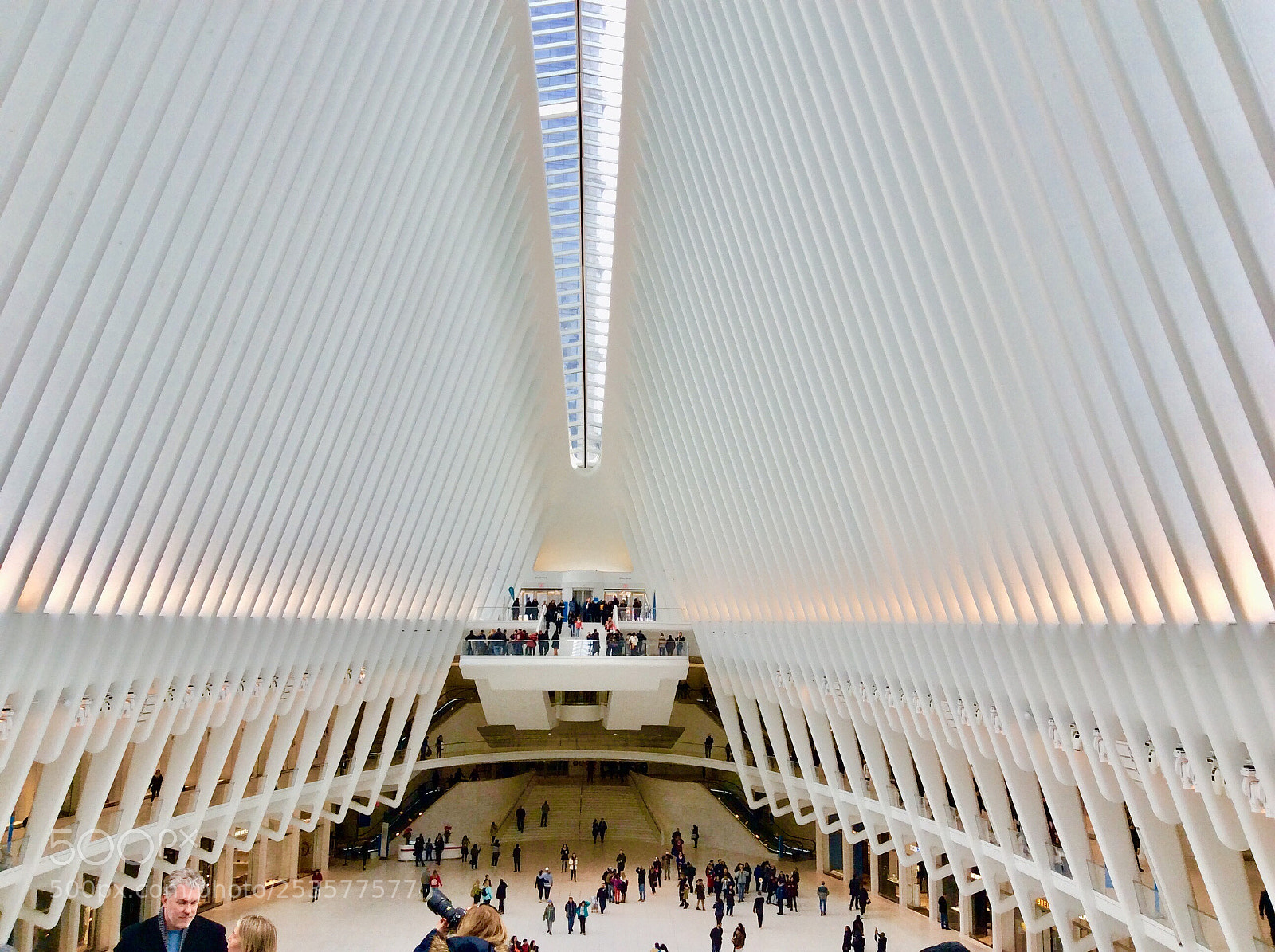 Apple iPad mini 2 sample photo. Inside oculus photography
