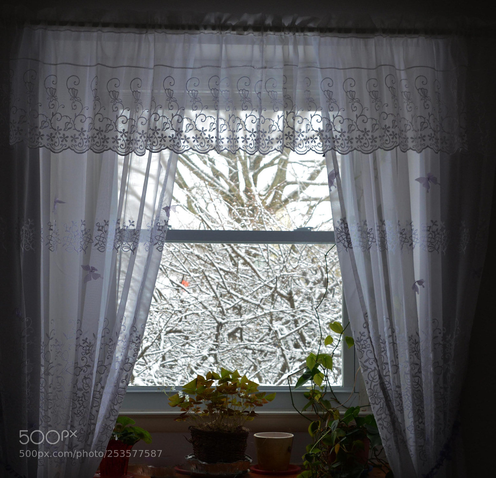 Nikon D7100 sample photo. Winter. study i. photography
