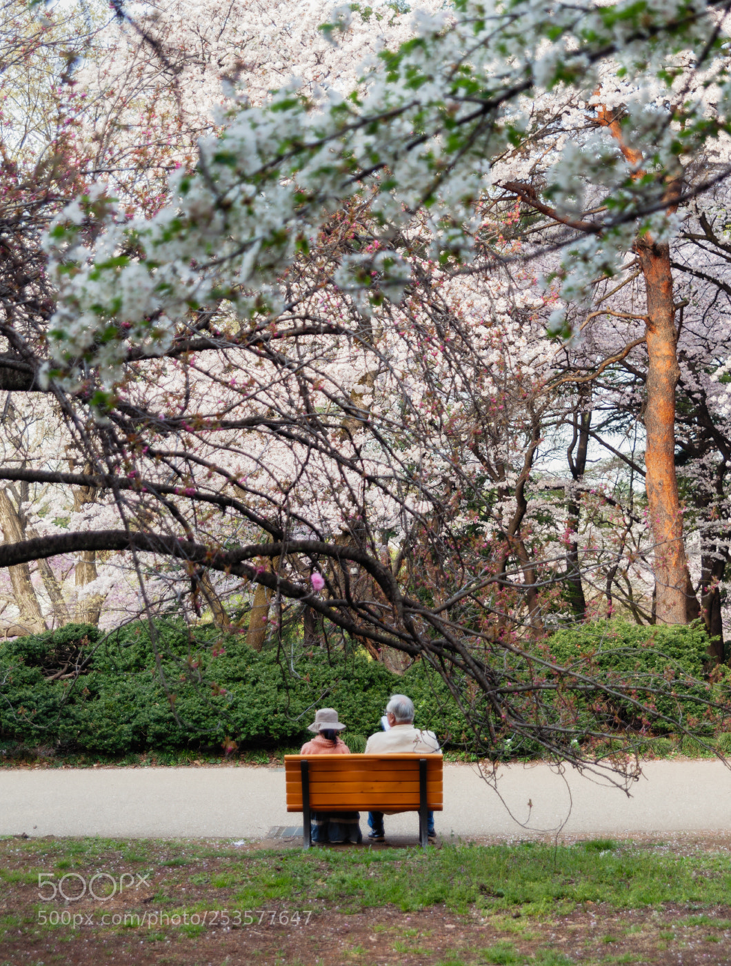 Canon EOS 5D Mark II sample photo. 7137 photography