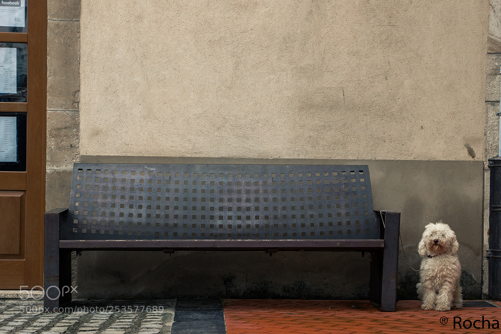 Canon EOS 77D (EOS 9000D / EOS 770D) sample photo. Semper fidelis photography