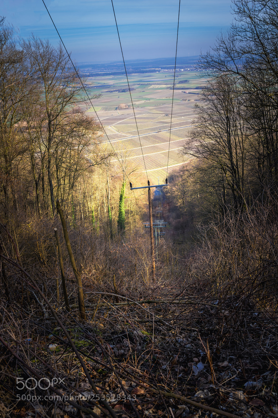 Sony Cyber-shot DSC-RX1 sample photo. Swath with electricity pylons photography