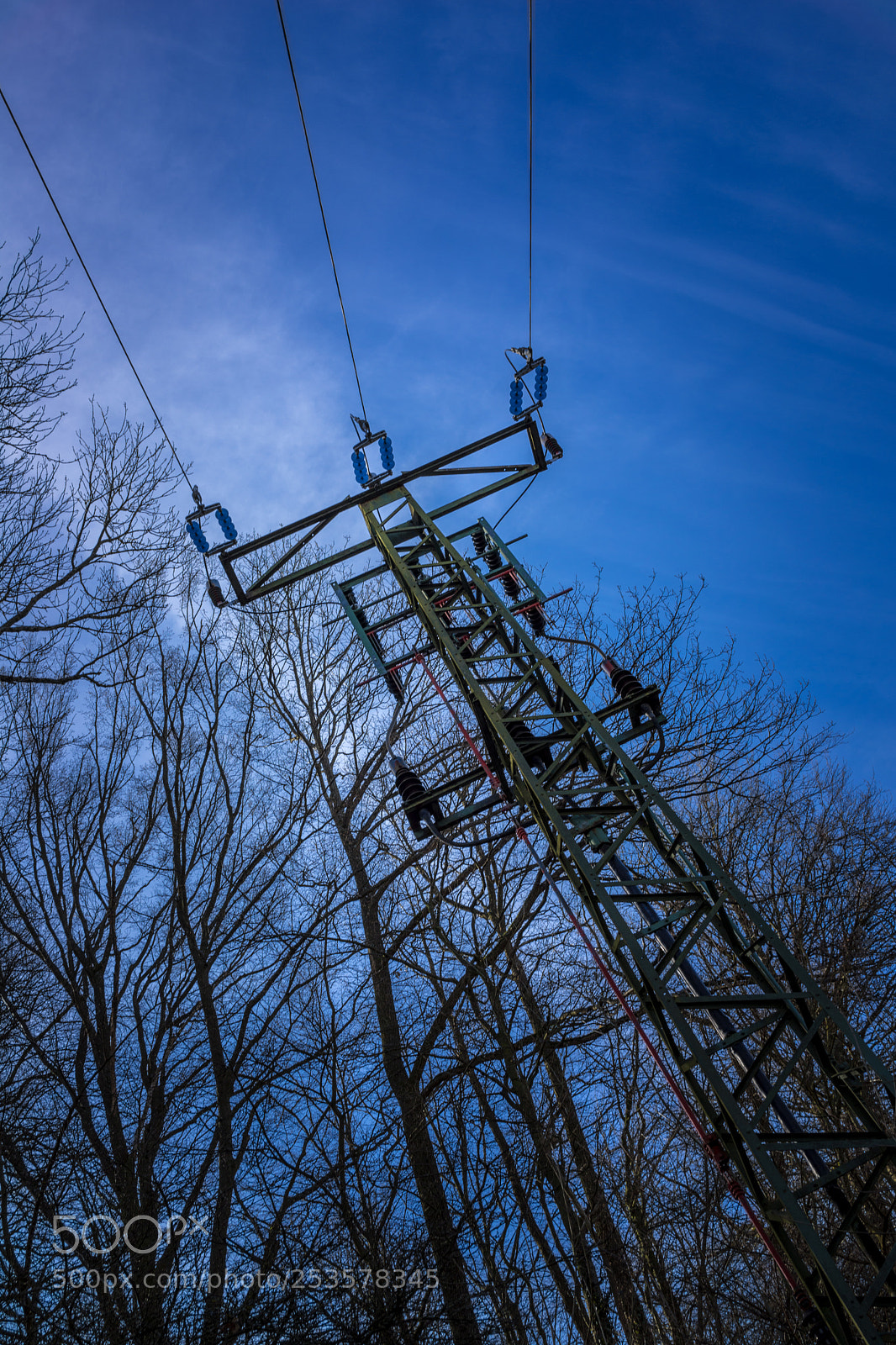 Sony Cyber-shot DSC-RX1 sample photo. Low angle view to photography