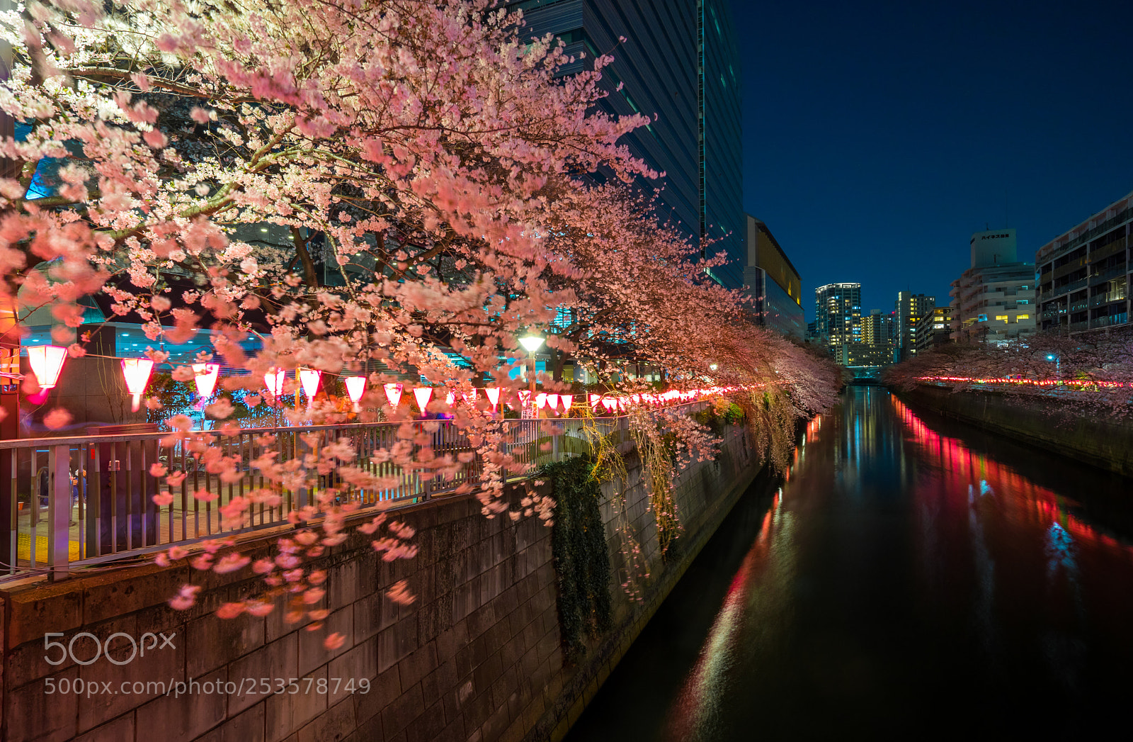 Sony a7 II sample photo. Dsc photography