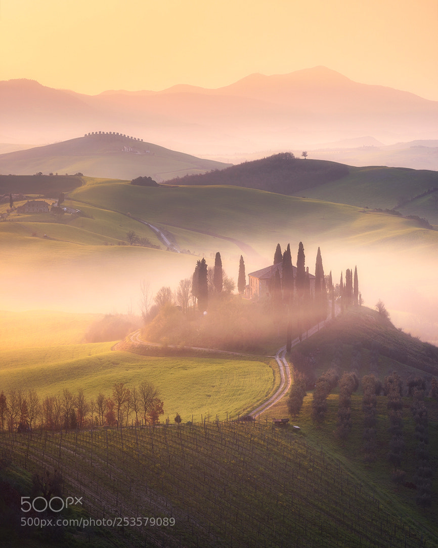 Nikon D810 sample photo. Golden tuscany photography