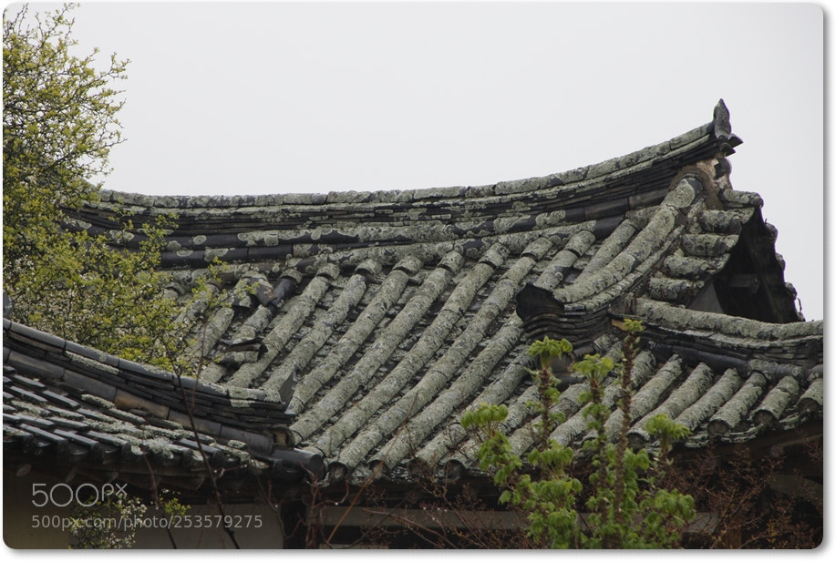 Canon EOS 5D Mark II sample photo. Old roof in korea photography
