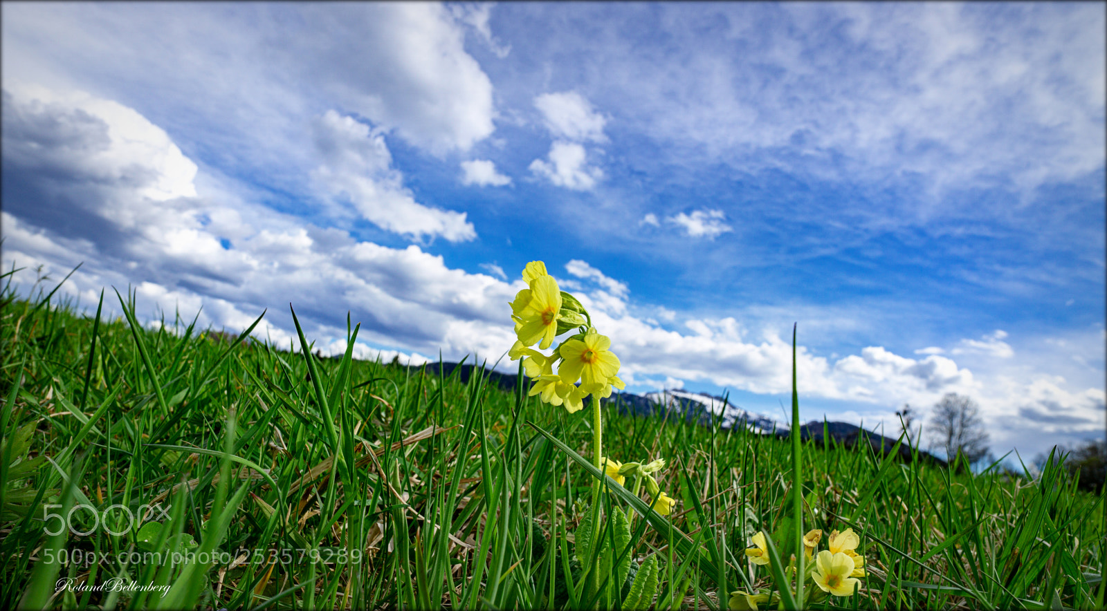 Sony a6000 sample photo. Spring is all around photography