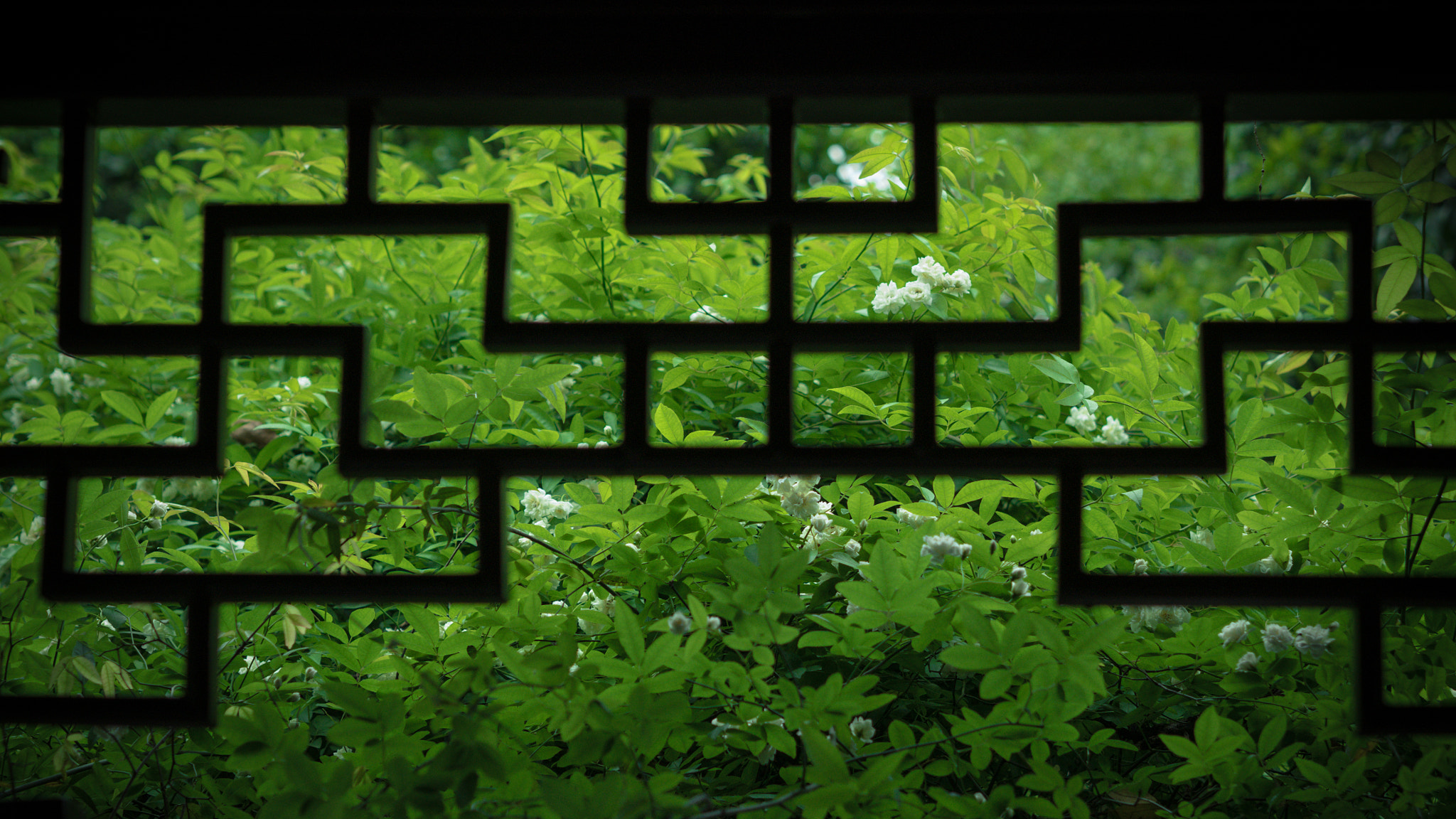 Panasonic Lumix DMC-GX85 (Lumix DMC-GX80 / Lumix DMC-GX7 Mark II) sample photo