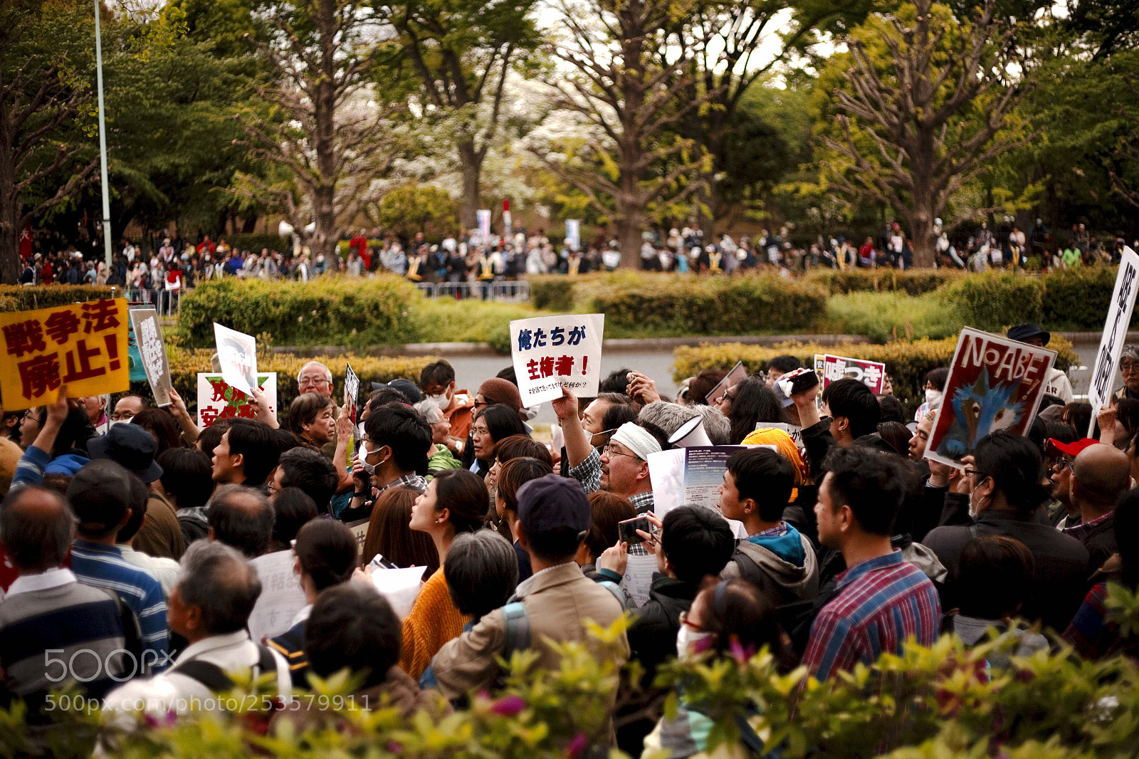 Canon EOS 5D sample photo. Img photography