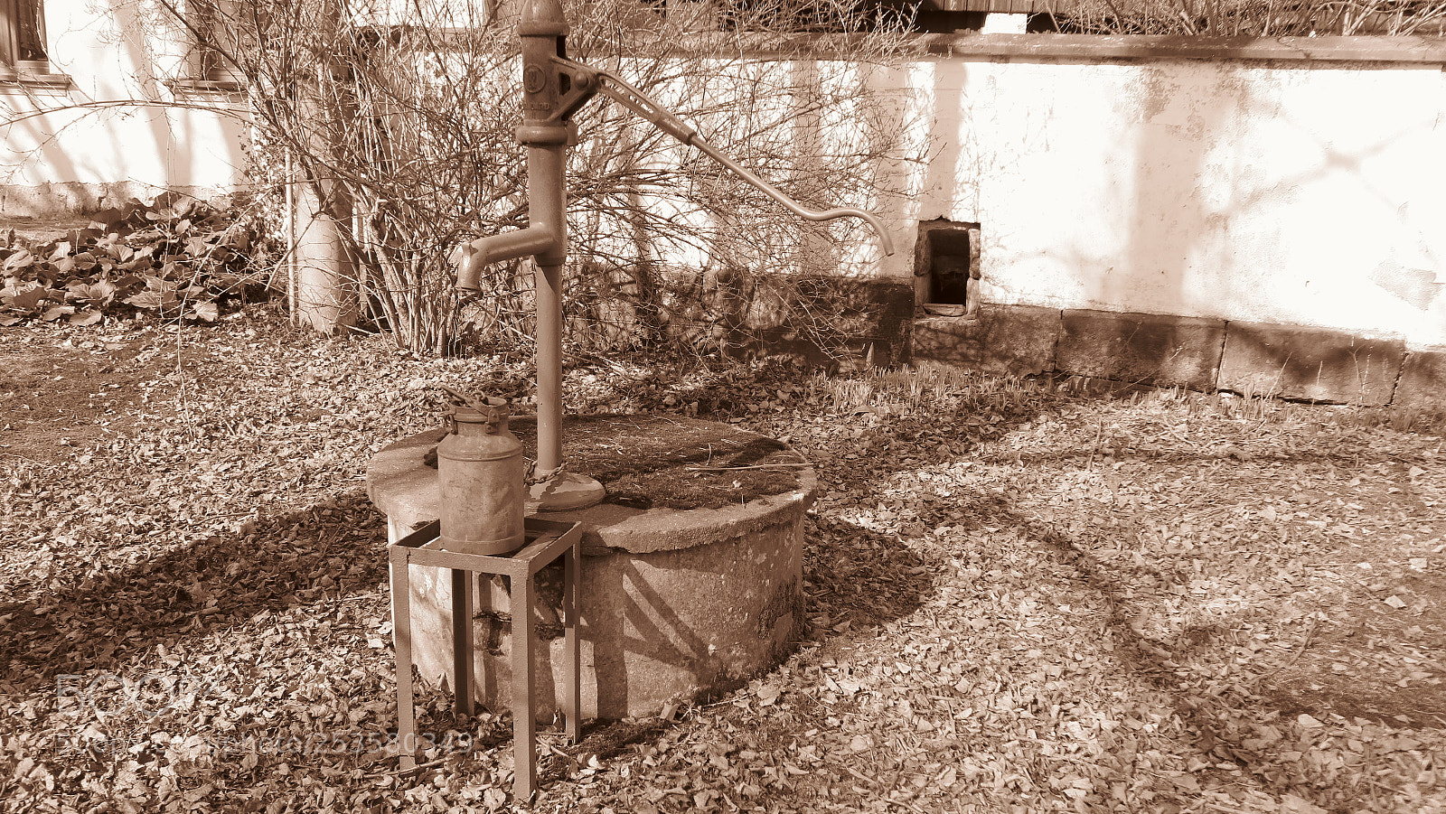 Canon PowerShot G5 X sample photo. Img photography