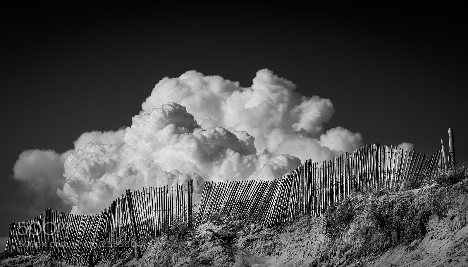 Nikon D810 sample photo. Fence & cloud photography