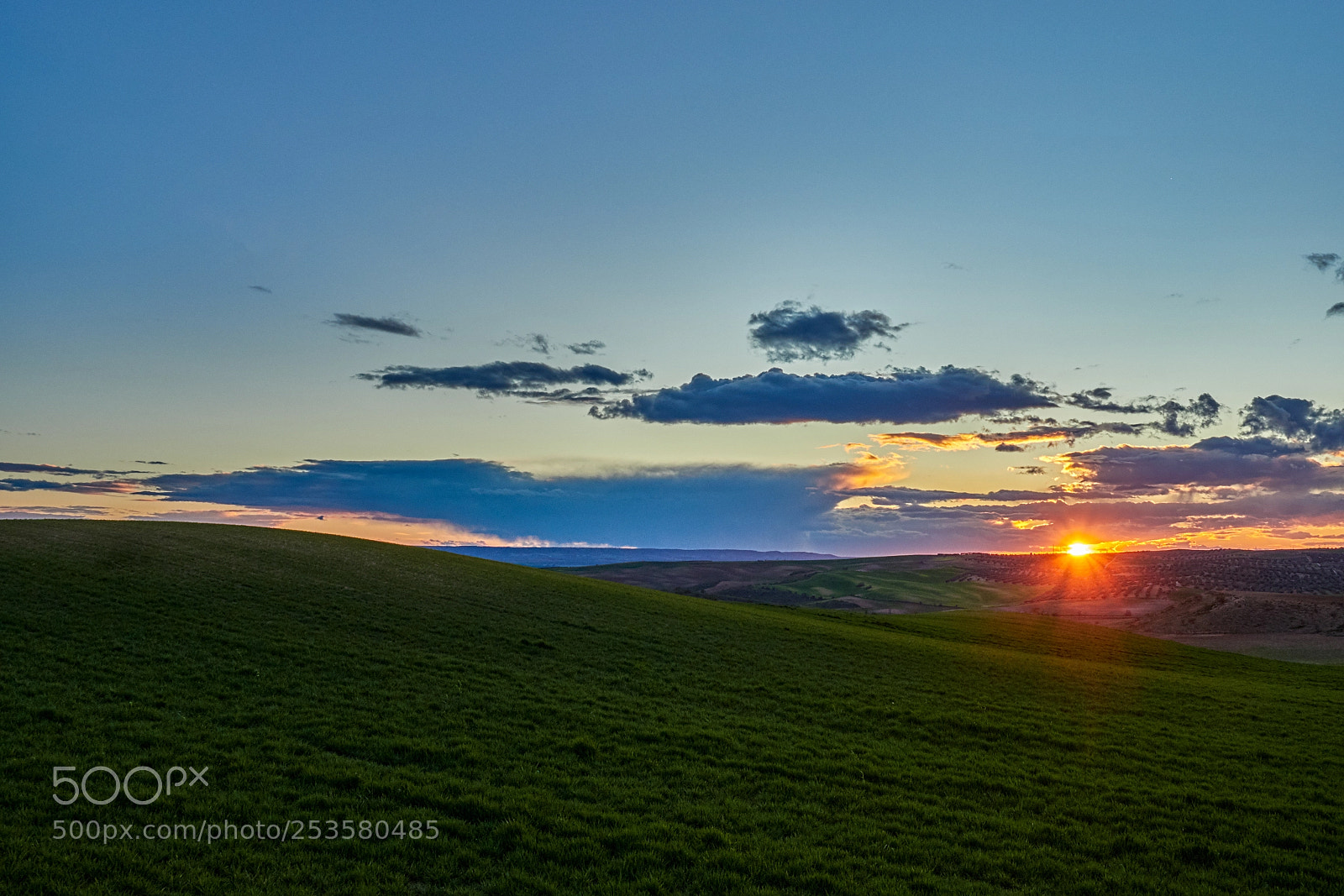Olympus OM-D E-M1 Mark II sample photo. Atardecer en el campo photography
