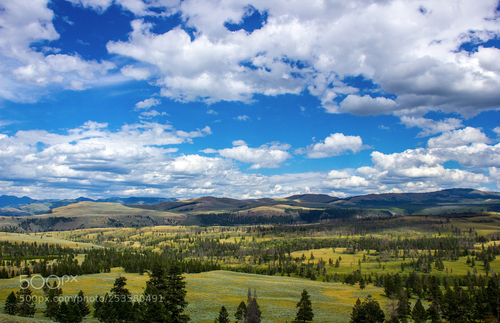 Canon EOS 550D (EOS Rebel T2i / EOS Kiss X4) sample photo. Big sky photography
