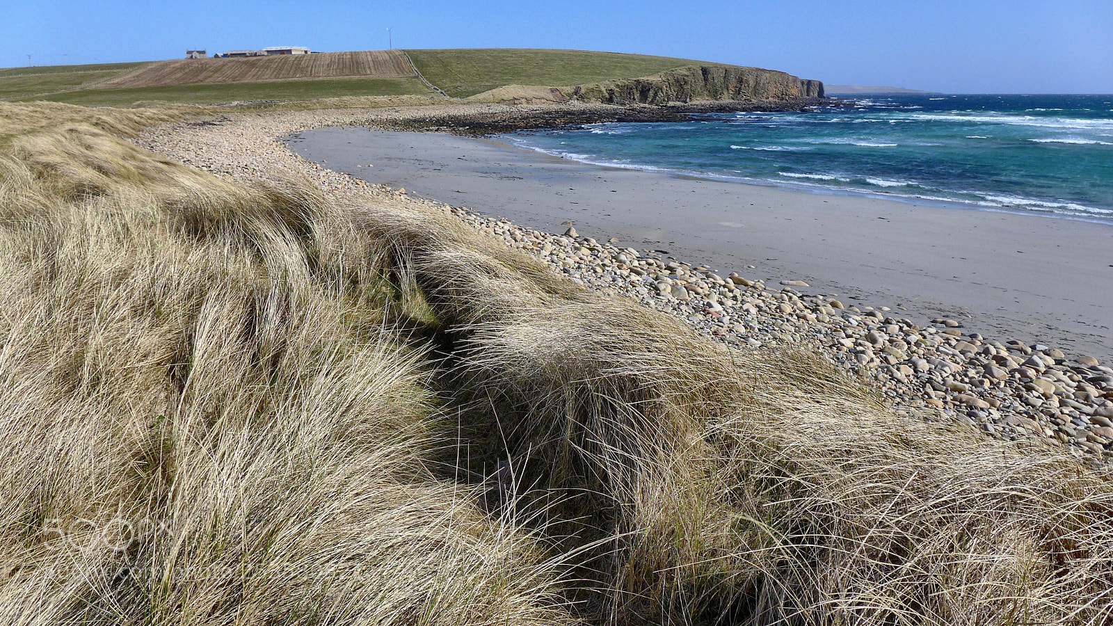 Panasonic Lumix DMC-LX7 sample photo. The dancing marram photography