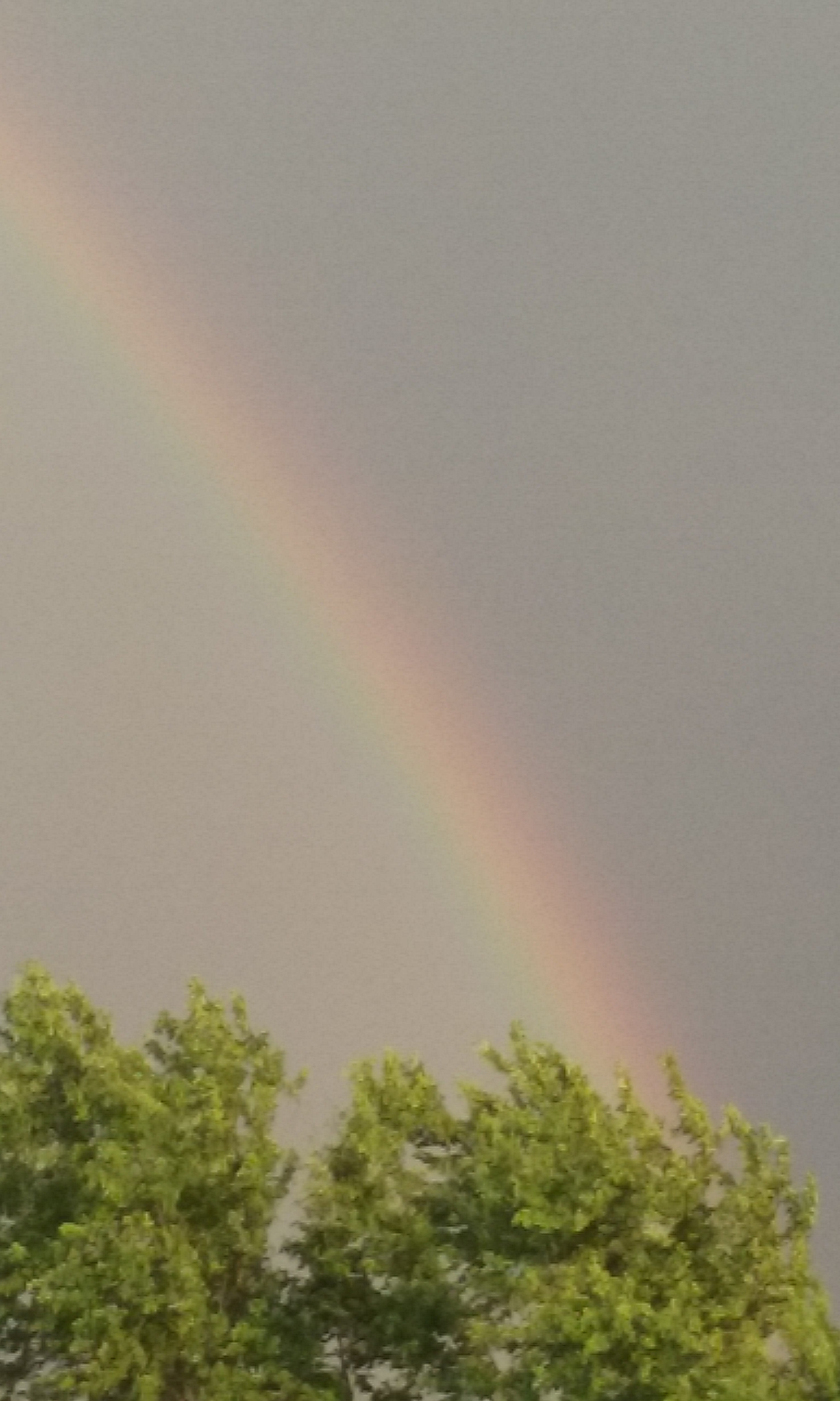 Samsung Galaxy Core Prime sample photo. Rainbow after rain photography