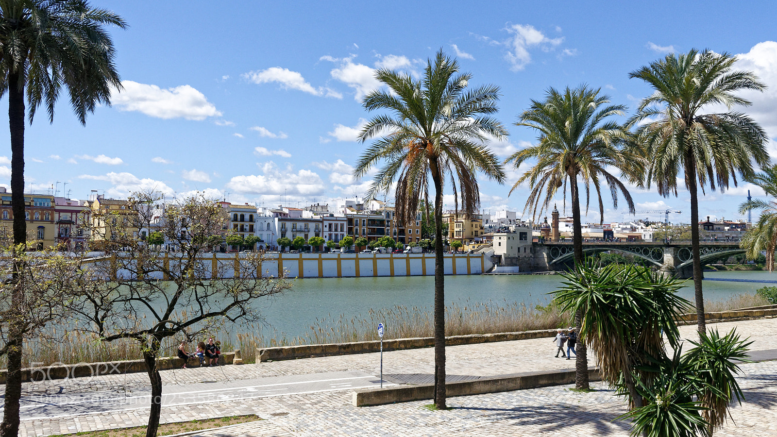 Nikon 1 J5 sample photo. View on triana and photography