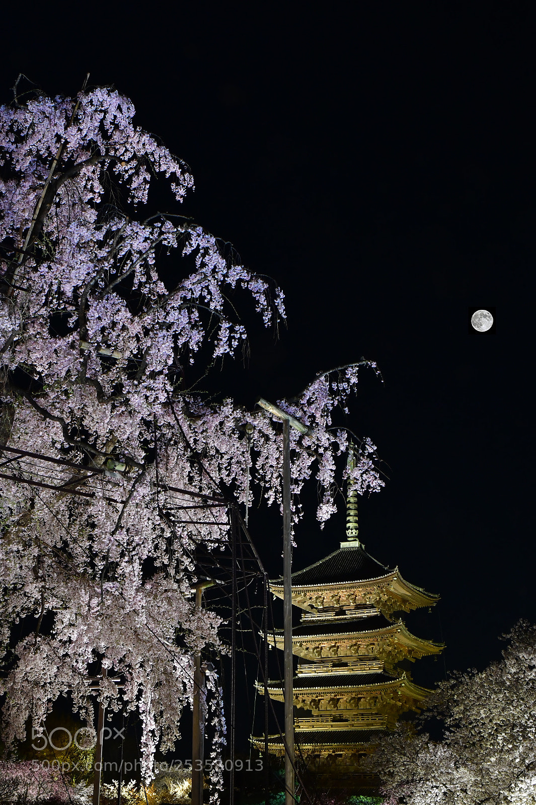 Nikon D850 sample photo. Japanese beauty. photography