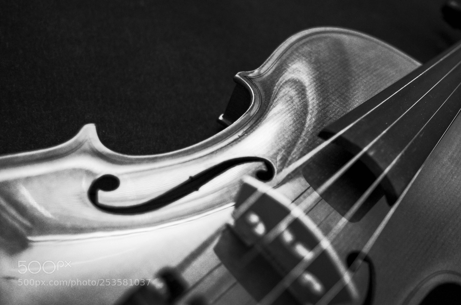 Ricoh GR II sample photo. Violin photography