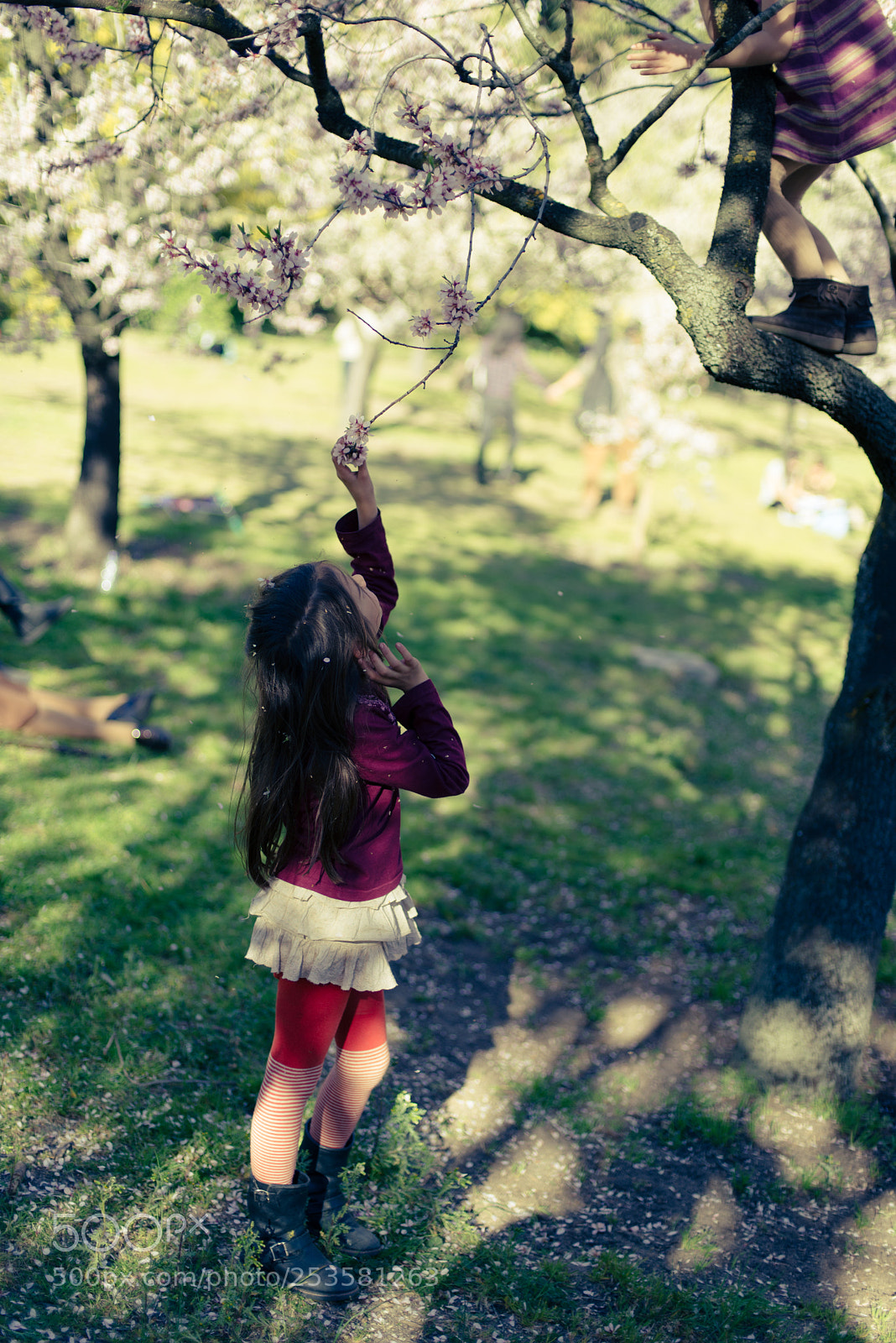 Nikon D610 sample photo. Almendro photography