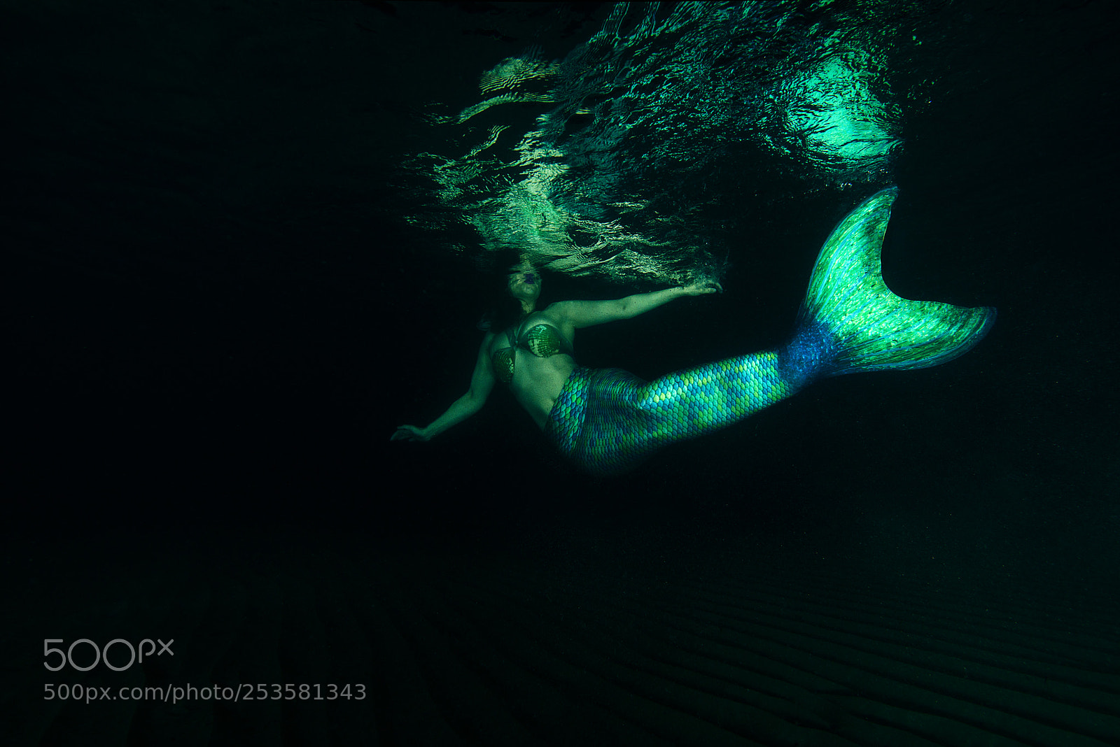 Nikon D800E sample photo. The magic mermaid photography