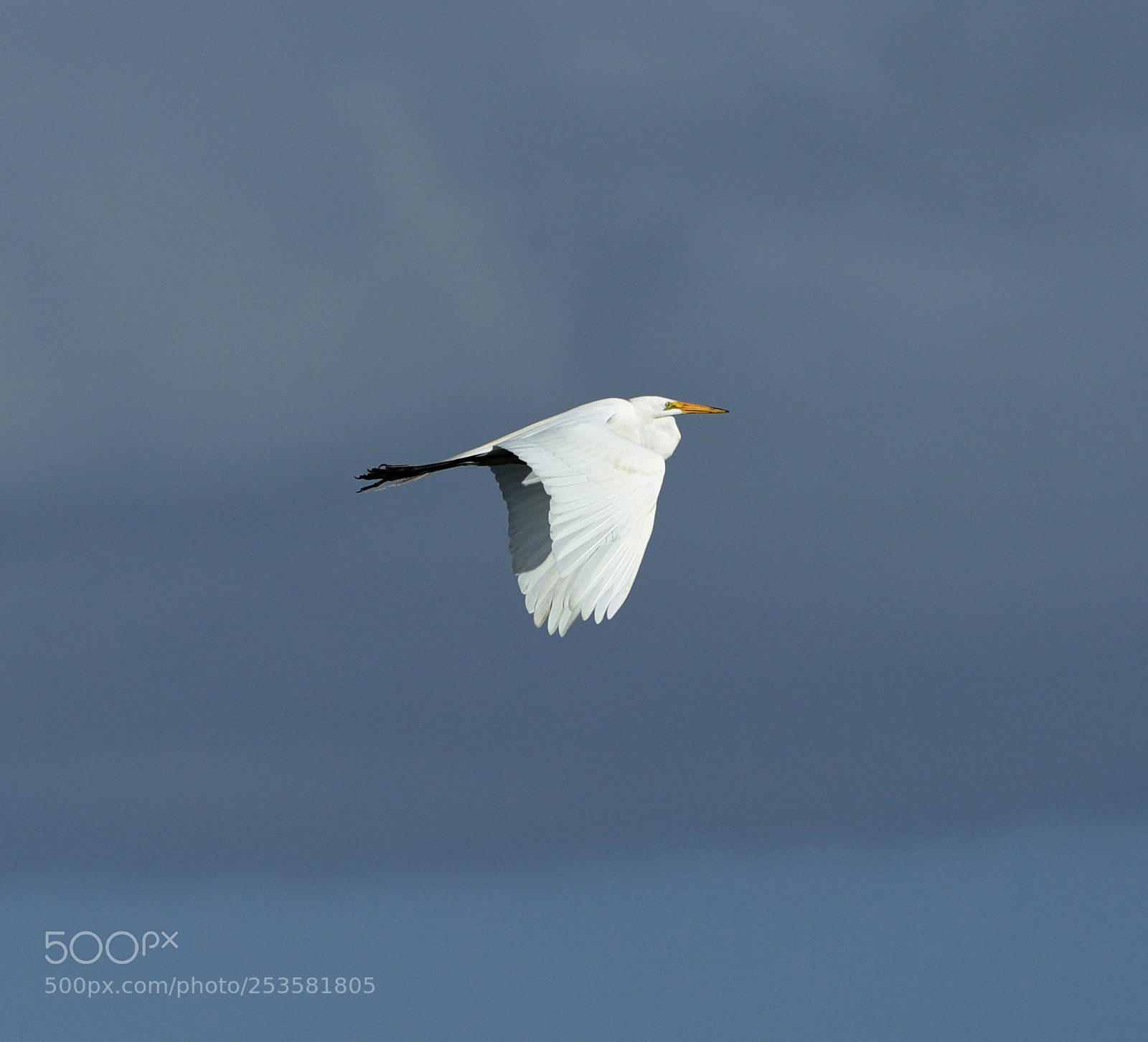 Canon EOS-1D X Mark II sample photo. 04-14-18-0012345.jpg photography