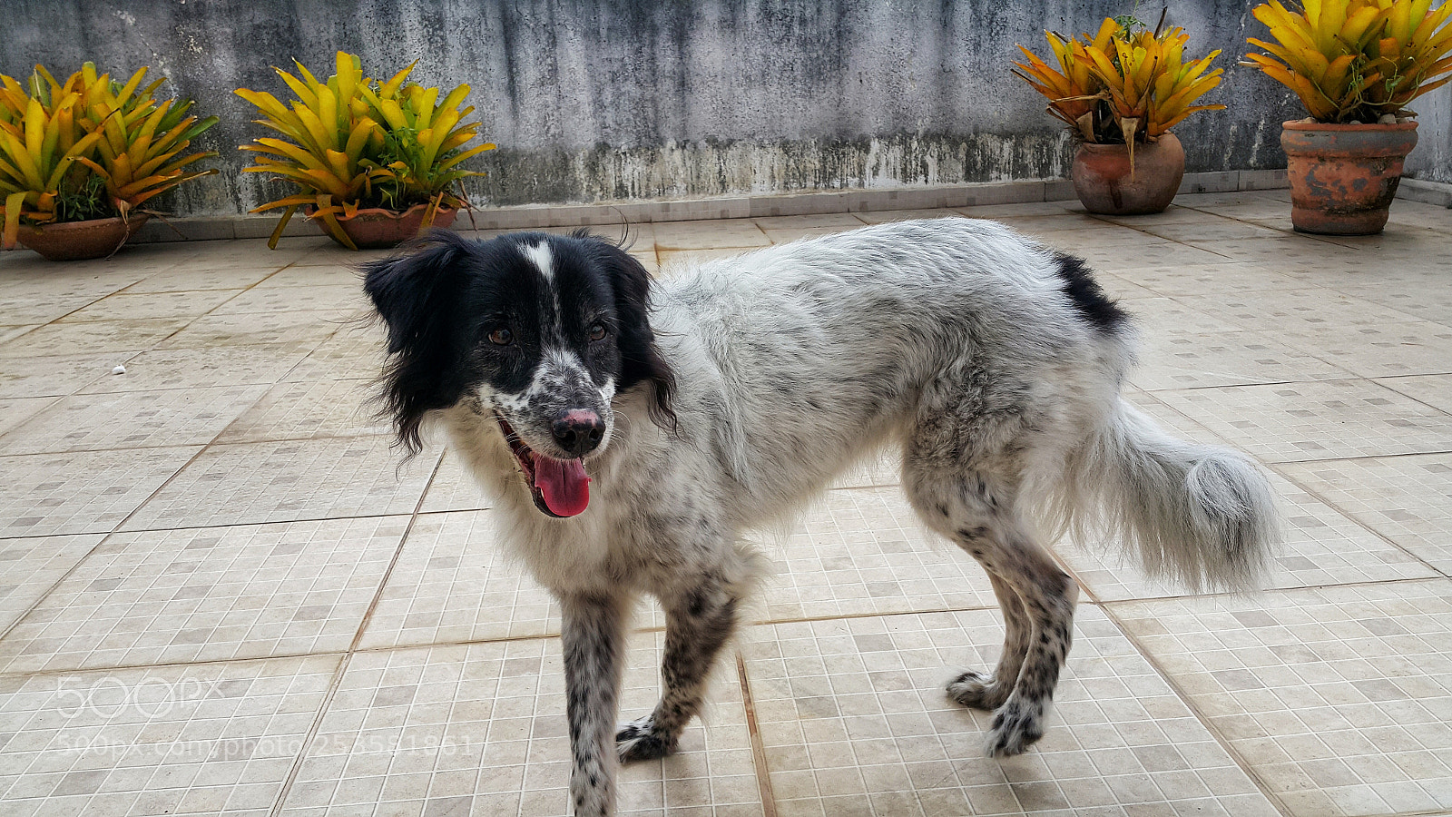 Samsung Galaxy Note4 sample photo. Meg ryan photography