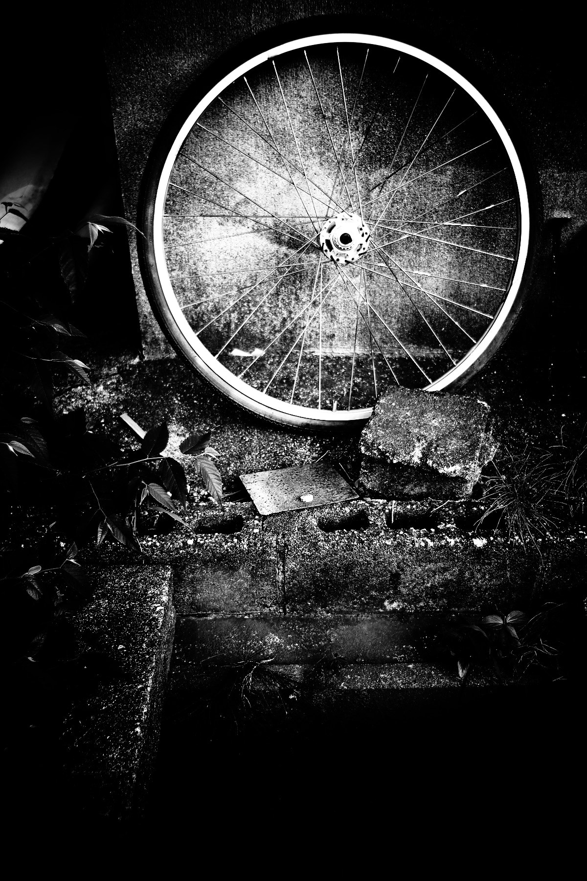 Sony Alpha DSLR-A900 sample photo. Bwslk photography