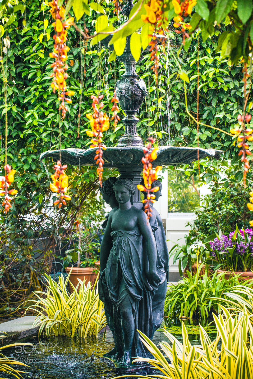 Sony a7 II sample photo. Lush garden photography