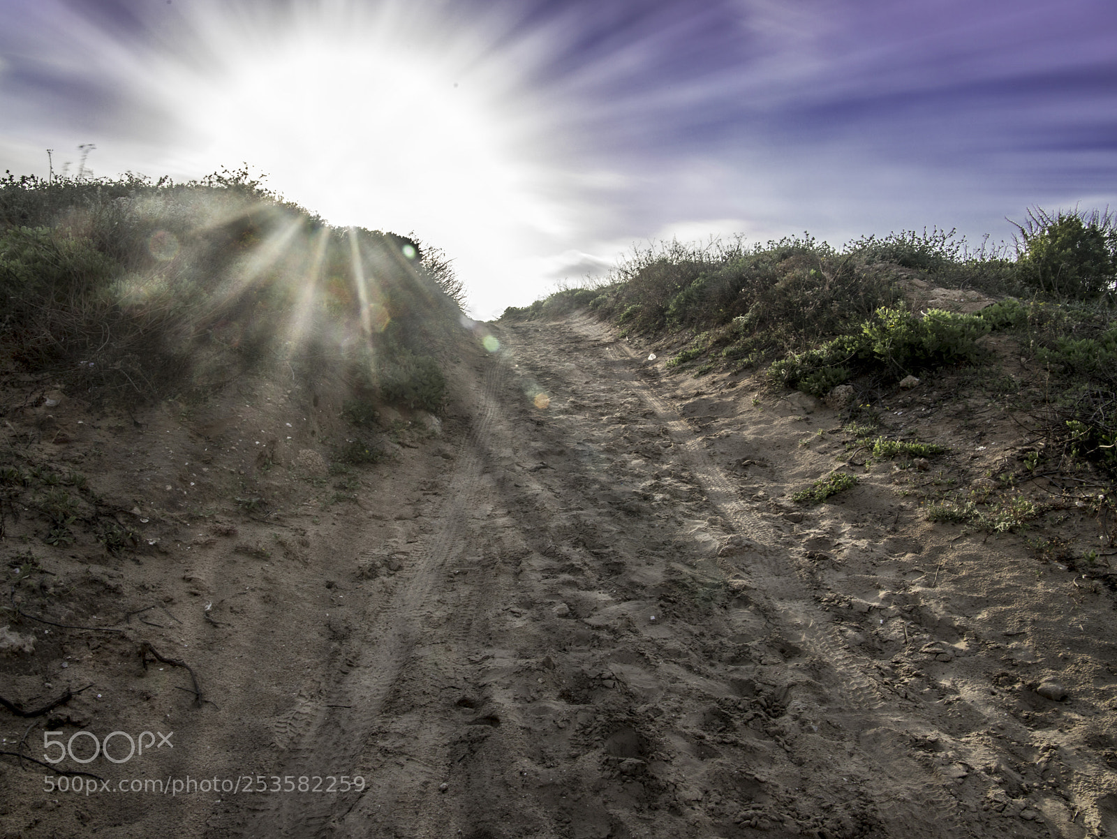 Canon EOS 6D Mark II sample photo. Sun rays photography