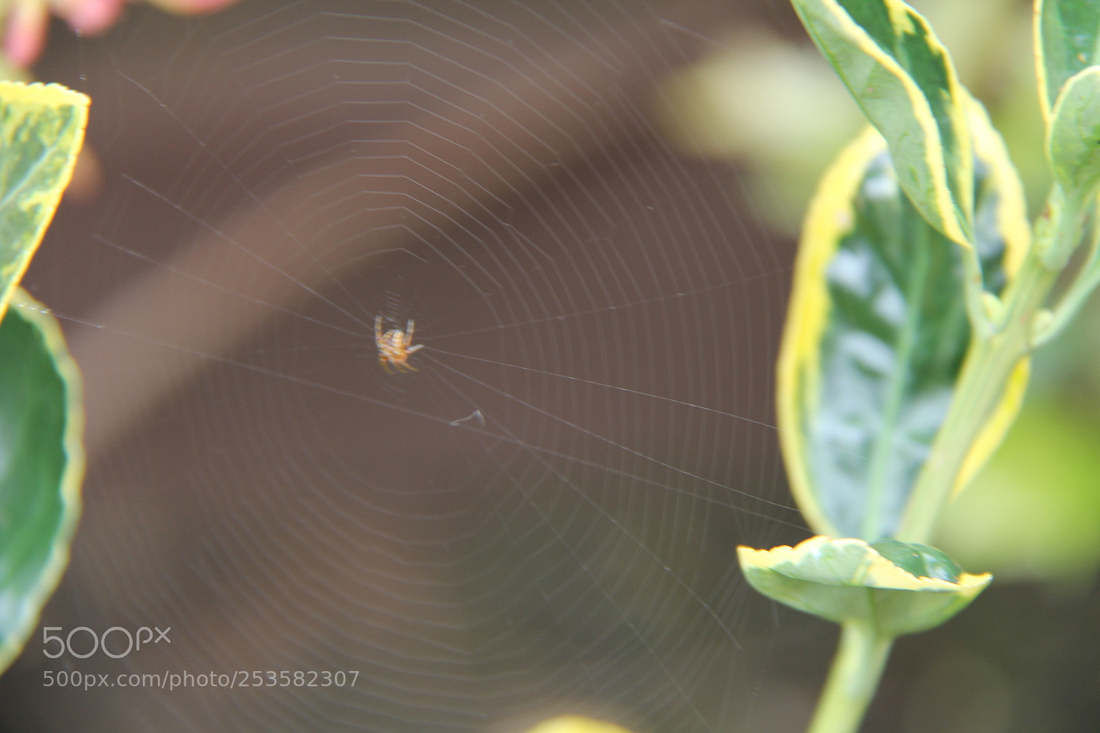 Canon EF-S 18-200mm F3.5-5.6 IS sample photo. Img photography