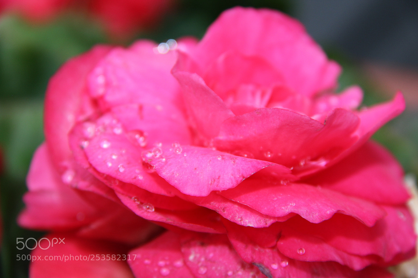Canon EF-S 18-200mm F3.5-5.6 IS sample photo. Img photography