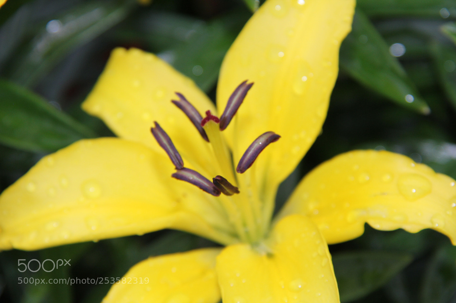 Canon EF-S 18-200mm F3.5-5.6 IS sample photo. Img photography